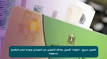 تفعيل سريع.. خطوات تفعيل بطاقة التموين عبر الموبابل وبوابة مصر الرقمية بسهولة